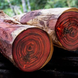 Red Sandalwood stick